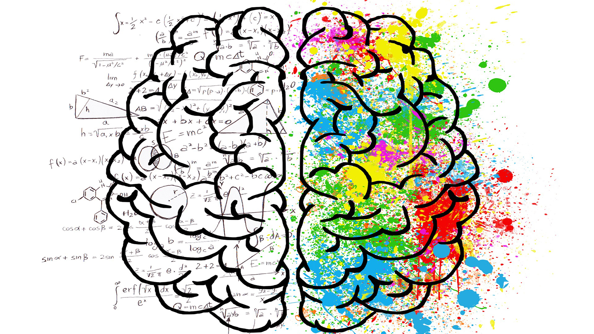 The brain: the right hemisphere records visual and spatial memories, such as drawings, while the left hemisphere registers verbal memory, for example wors or numbers. Image from Pixabay.