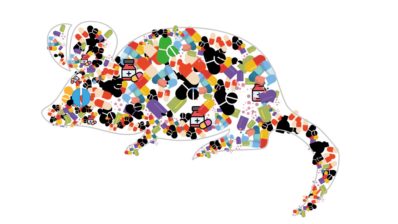 Drug Development Archives El Lipse