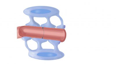 Ilustración de la barrera hematoencefálica.