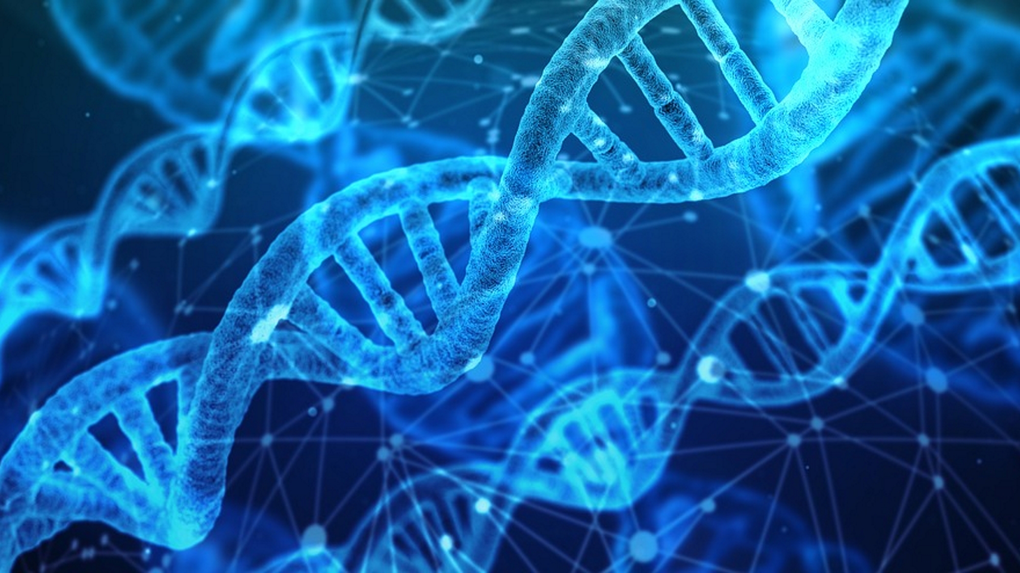 De vegades, les mutacions en l'ADN causen canvis subtils en el funcionament d'una proteïna, però altres donen lloc a canvis en la forma en què una cèl·lula es comporta (Imatge de Geralt a Pixabay).
