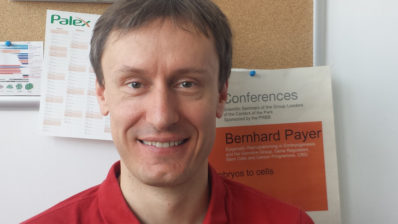 Bernhard Payer es líder del Laboratorio de Reprogramación Epigenética en embriogénesis y línia germinal.