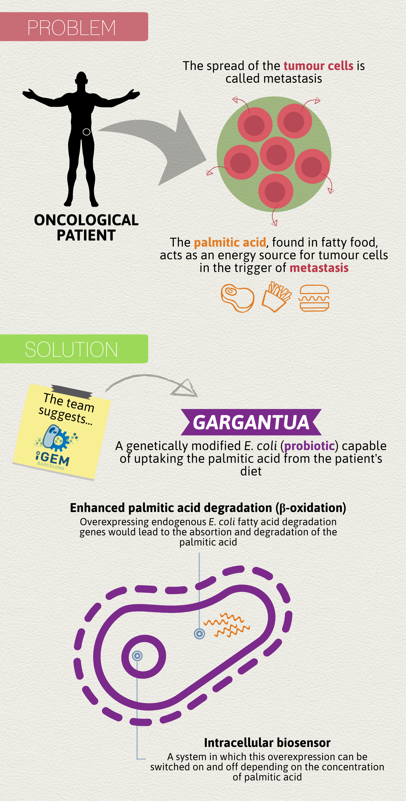 USP-EEL-Brazil - iGEM 2022