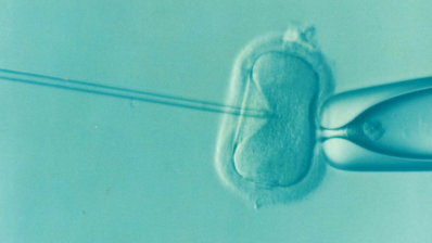 In vitro fertilization (Picture by DrKontogianniIVF from Pixabay).