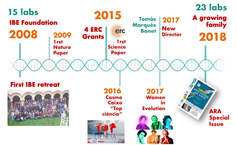 A visual summary of the IBE's 10 years of history