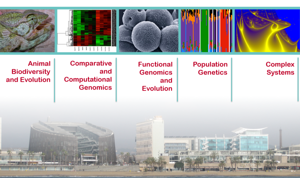 The IBE is organised in 5 scientific programs