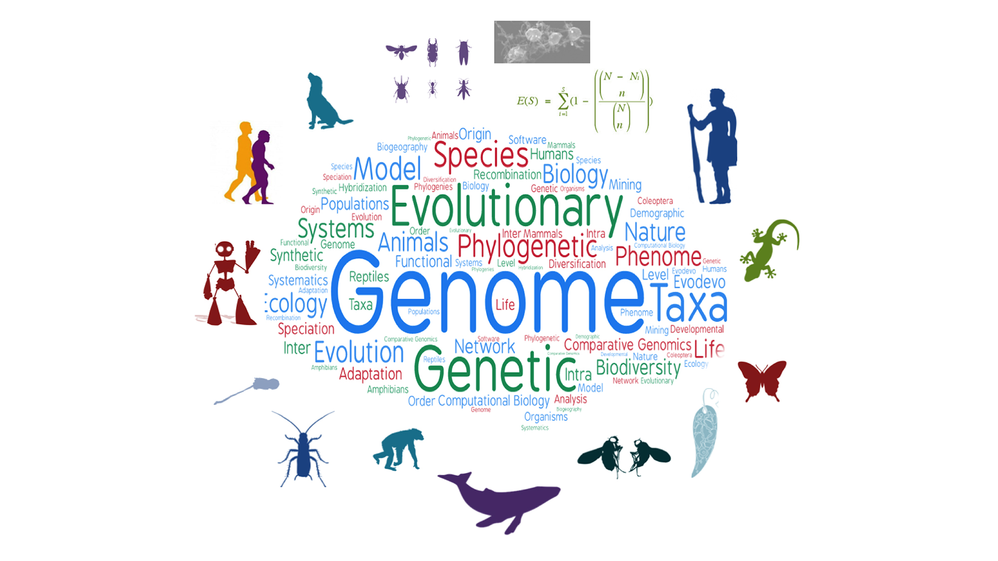 The Institute of Evolutionary Biology covers a wide range of topics. Credit: Tomàs Marquès-Bonet.