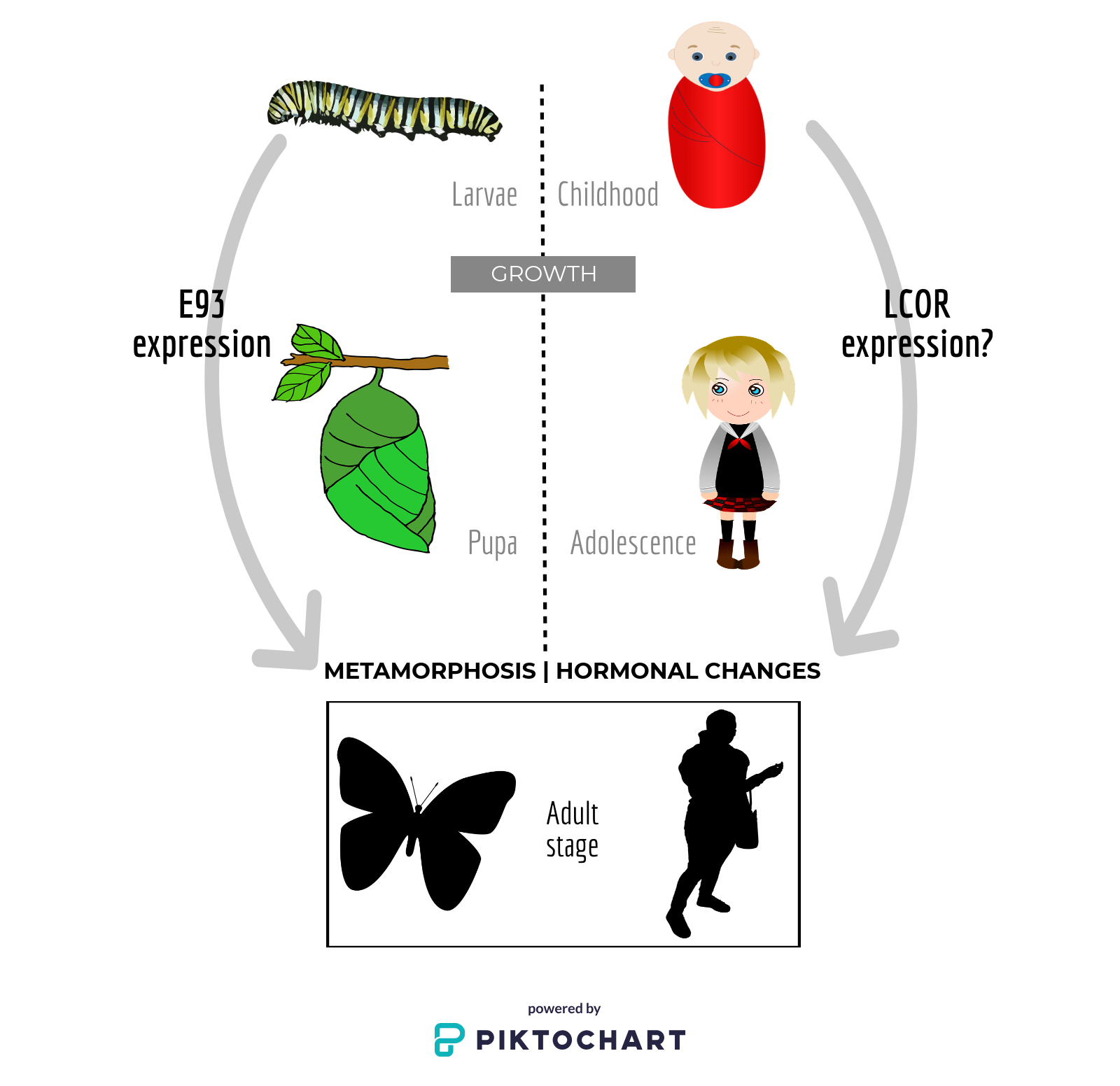 Metamorphosis манга концовка