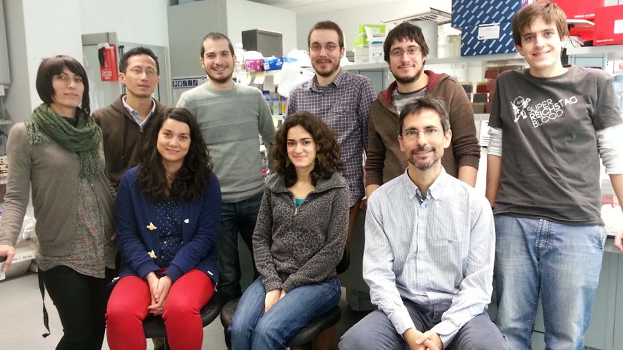 Membres del laboratori del Genoma Multicel·lular a l'Institut de Biologia Evolutiva (IBE:CSIC-UPF)