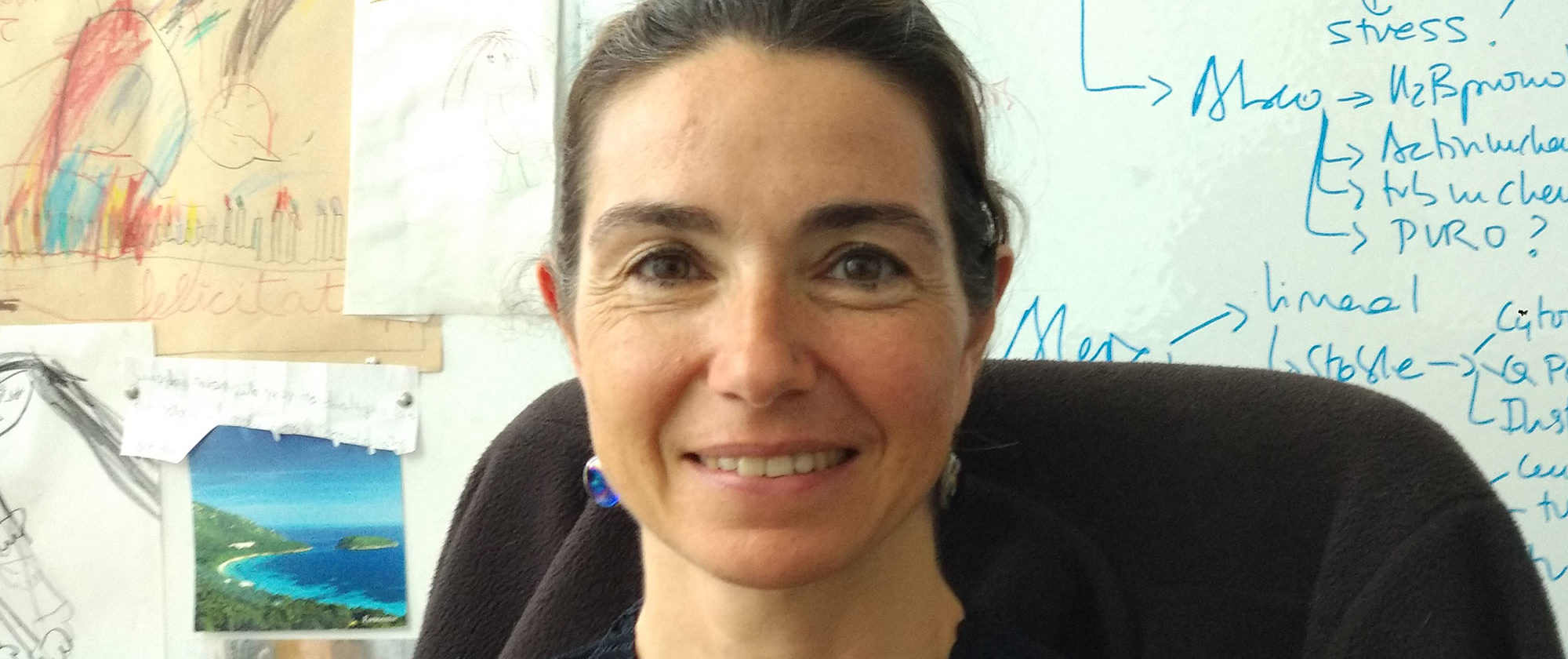 Elena Casacuberta es una jefa de grupo en el Instituto de Biología Evolutiva (IBE: CSIC-UPF).