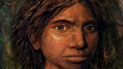 A portrait of a 80,000 year old Denisovan girl, recreated solely from molecular data. Art by Maayan visuals.