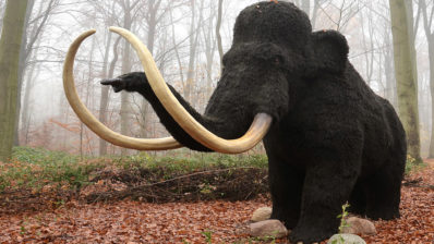 In this book, the researcher Carles Lalueza-Fox brings us the possibility of 'reviving' extinct species, such as mammoths. | Picture from Pixabay.