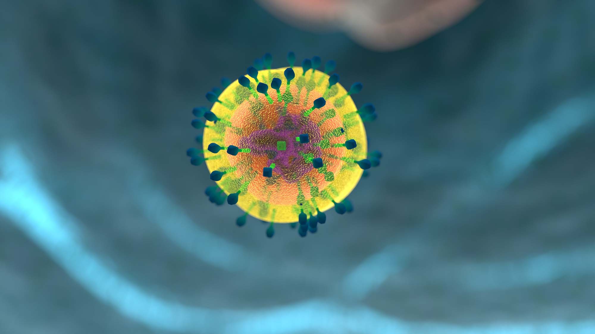 Investigadors descobreixen que NFAT5 ajuda a controlar els nivells d'interferons durant la resposta immunològica. | Imatge d'allinonemovie a Pixabay.