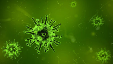 60-90% of the adult world population is infected by cytomegalovirus. It is a latent and asymptomatic infection. | Picture by Qimono from Pixabay.