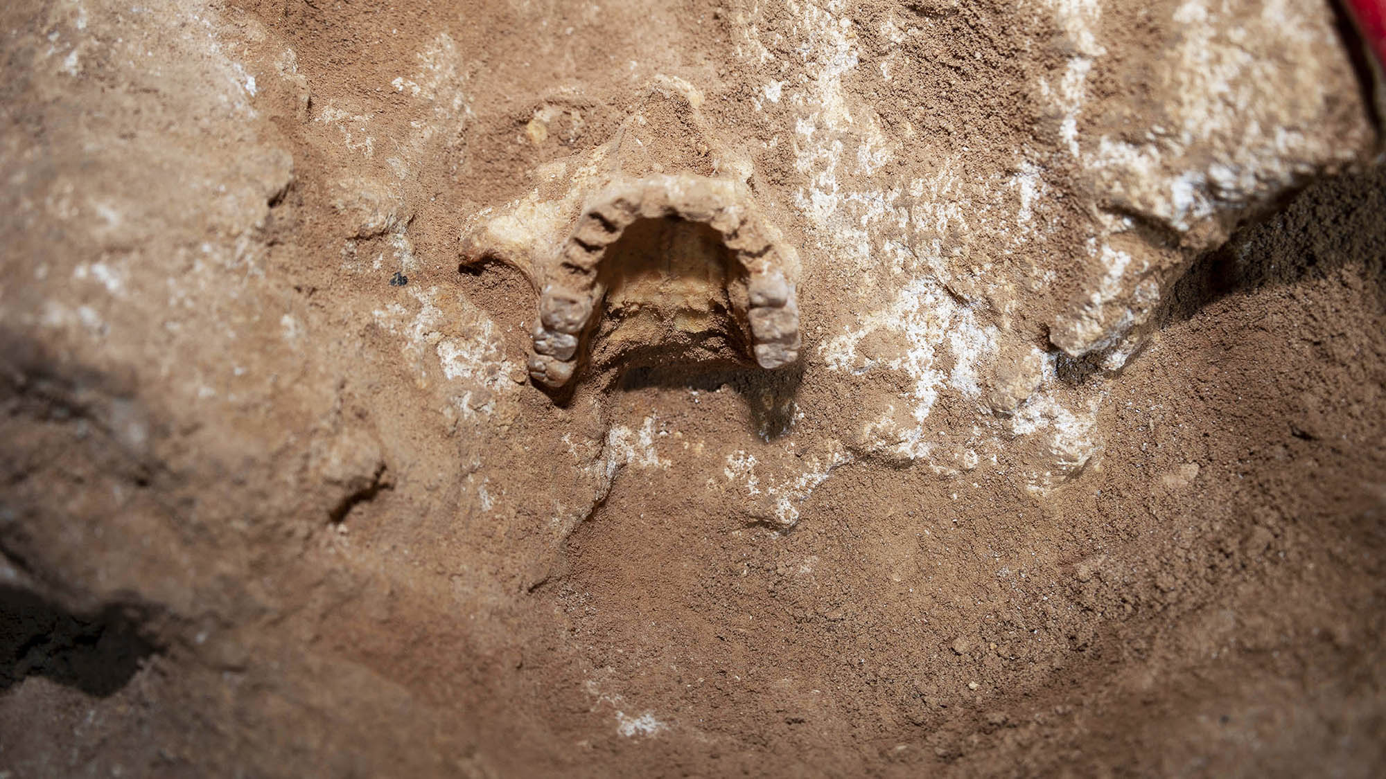 Imagen de la cueva 127 de Formentera. Crédito: Dr Edgard Camarós.