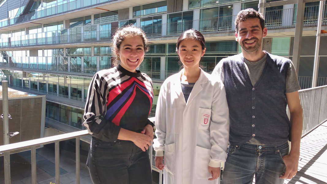 Pilar Rivera, Ruixue Xu y Rubén Vicente formen l'equip de Nanotarg.