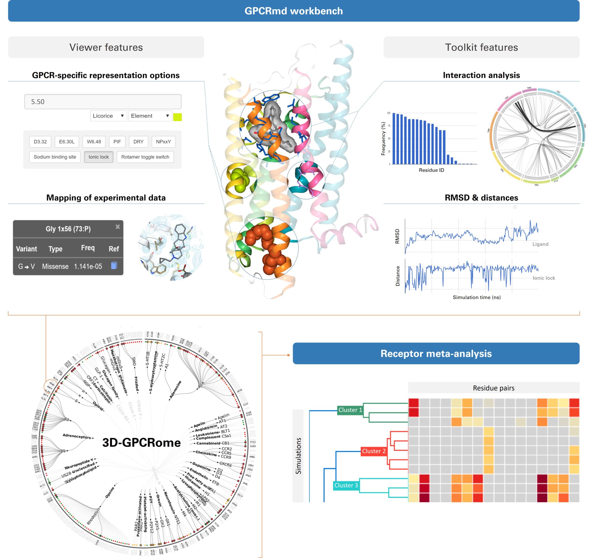 Facilitating Drug Design: A Platform To Study GPCRs - El·lipse