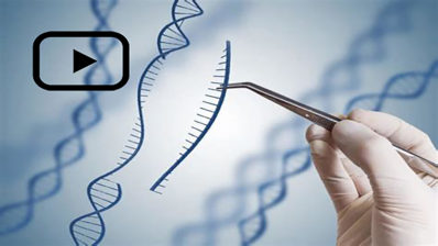 ¿Cómo decidimos cuándo y si debemos usar las nuevas tecnologías de edición genética?