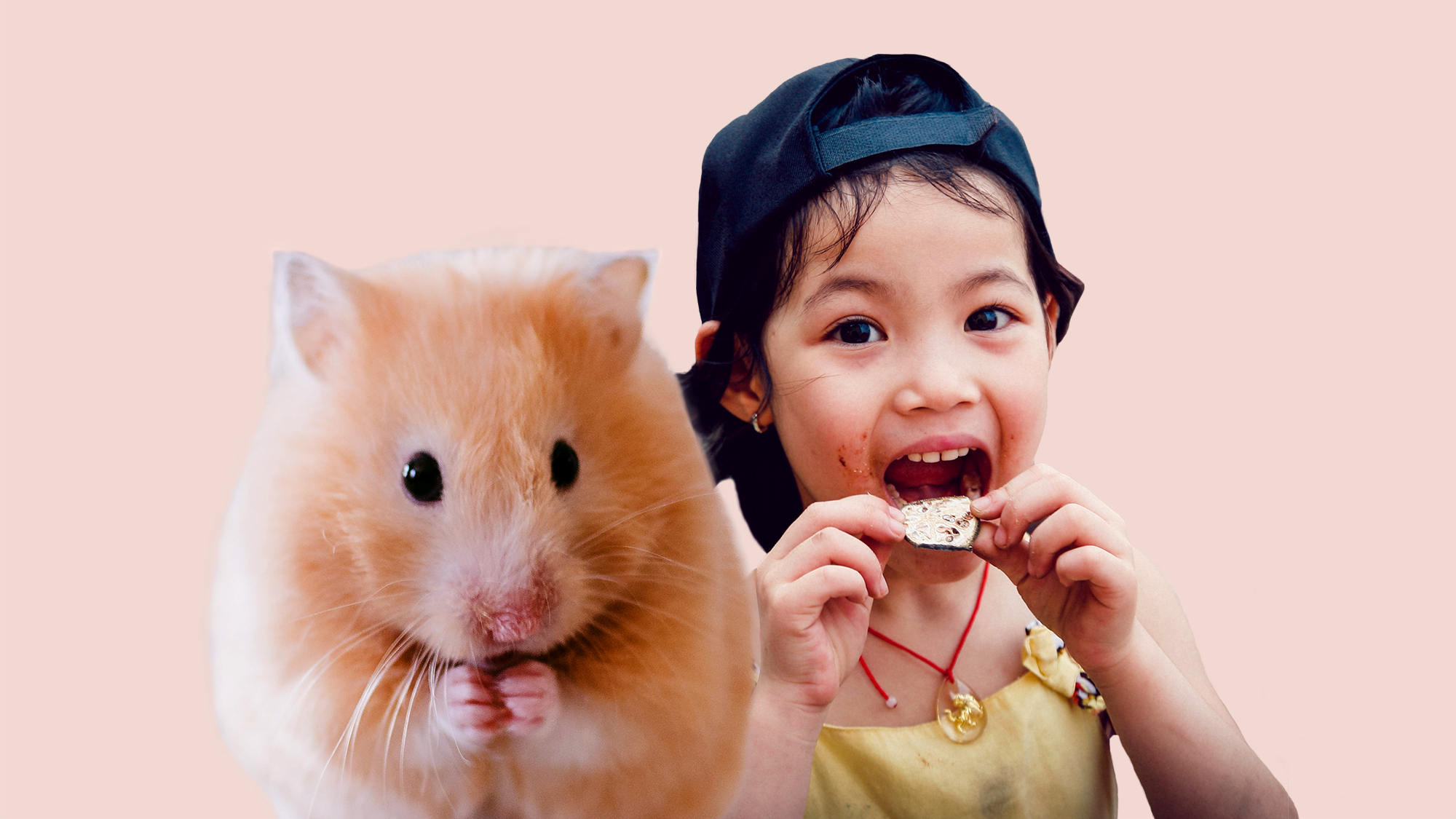 Humans and mice, different rhythm of life. Original photos by Tong Nguyen van and Ricky Kharawala on Unsplash