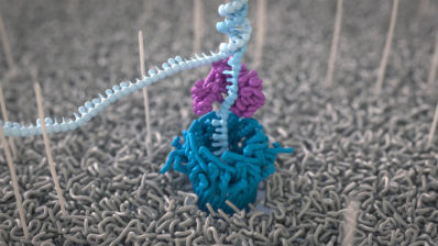 DNA molecule going through a nanopore. Image by Oxford Nanopore