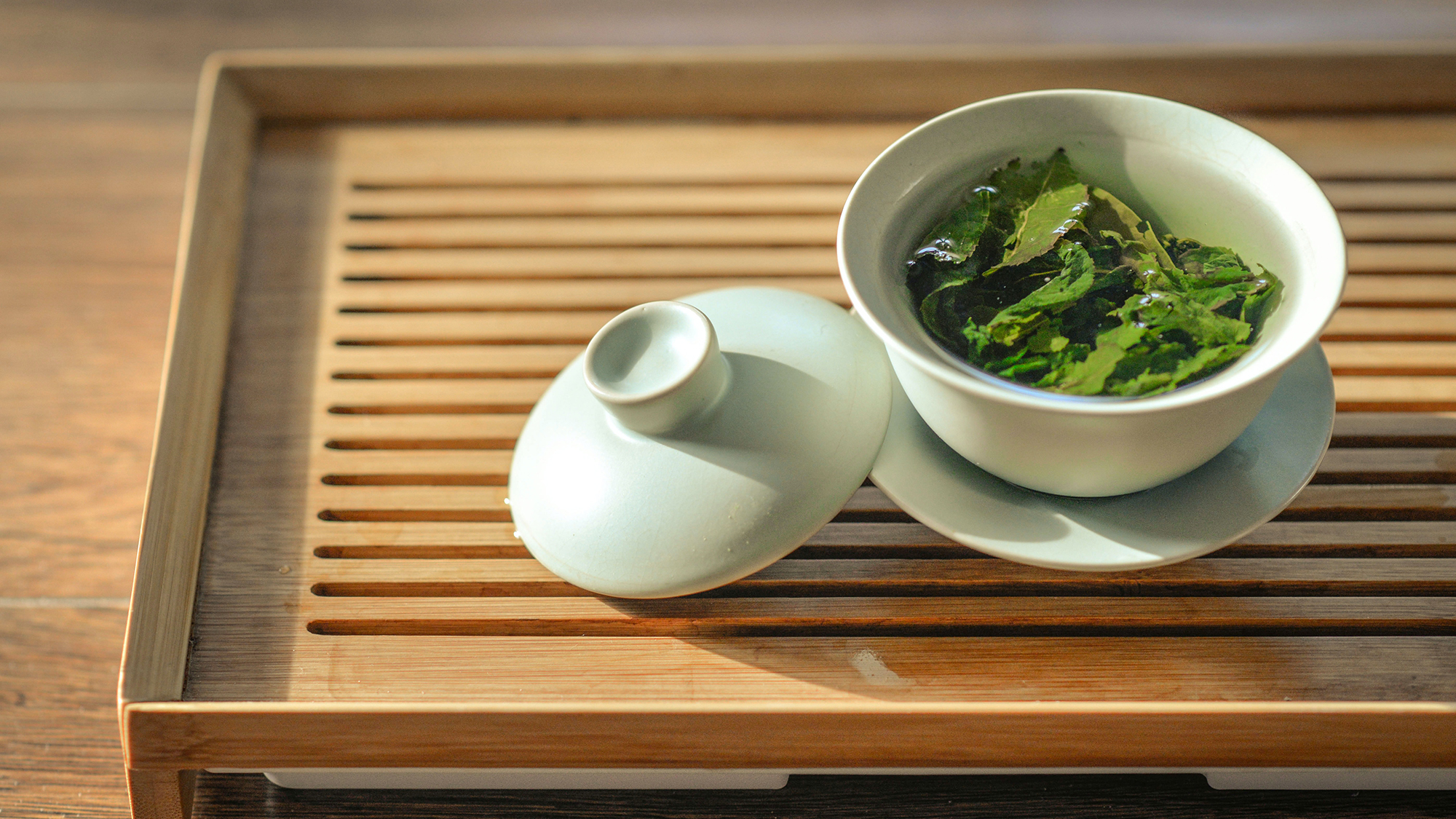 El EGCG, una substància de l'extracte de te verd, beneficiosa per la cognició en la Síndrome de Down. Foto de Jia Ye per Unsplash