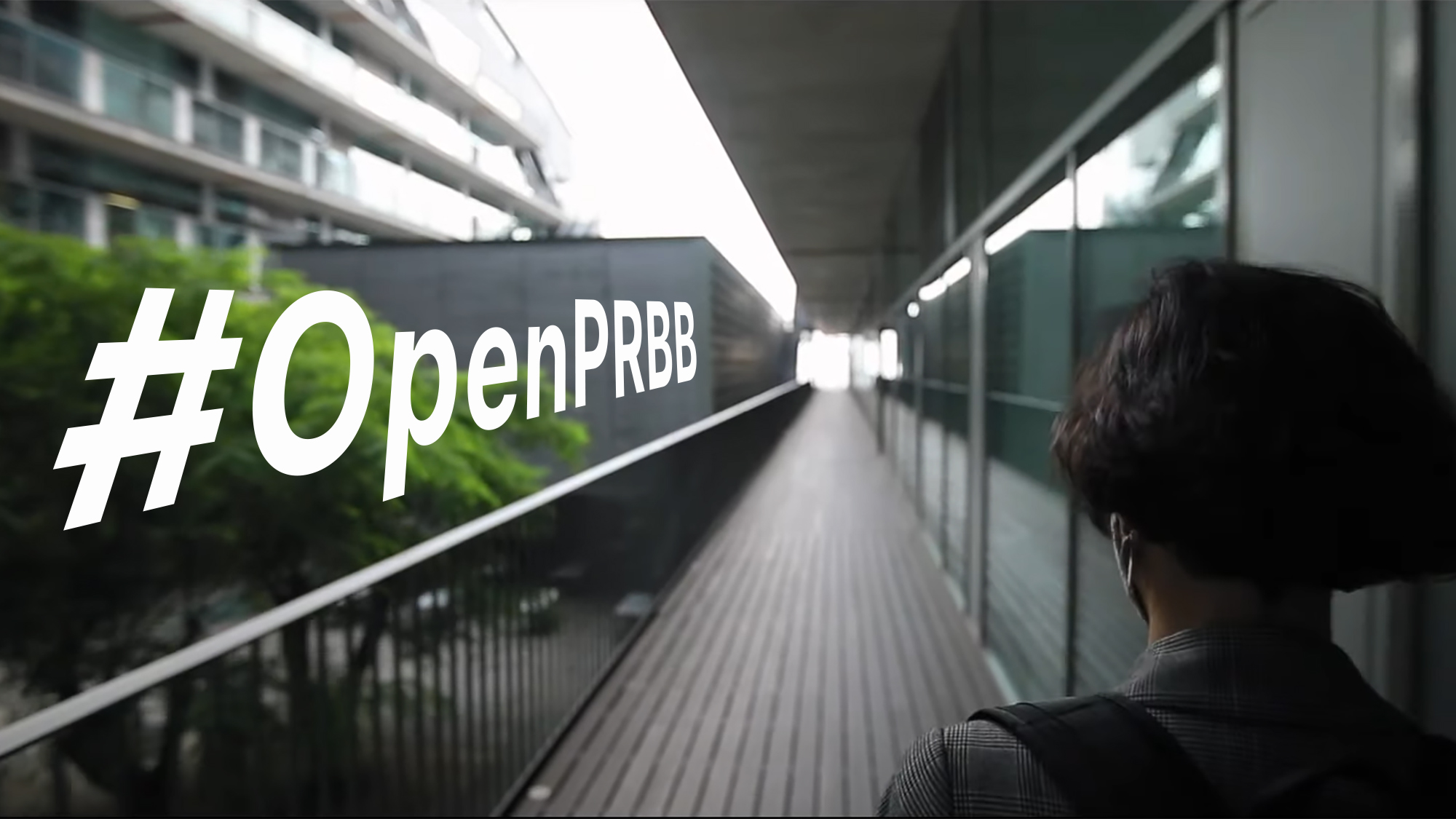 #OpenPRBB 2020: opening the doors from the distance