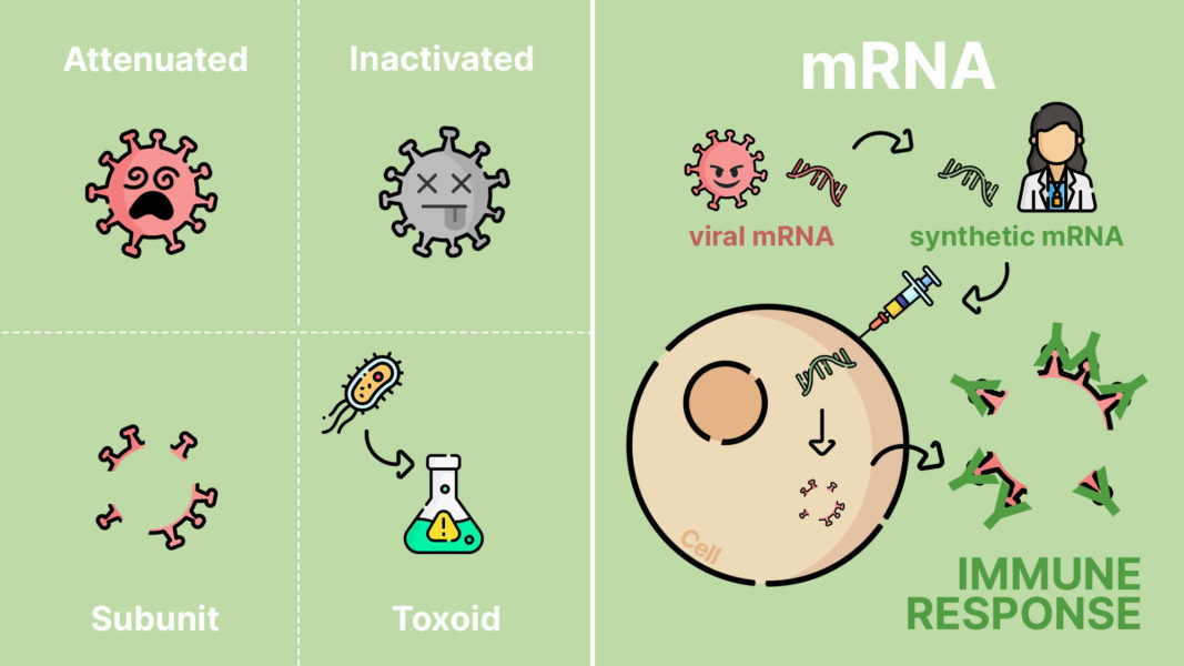 Why COVID-19 Vaccines Do Work Against Variants: a Sports Analogy