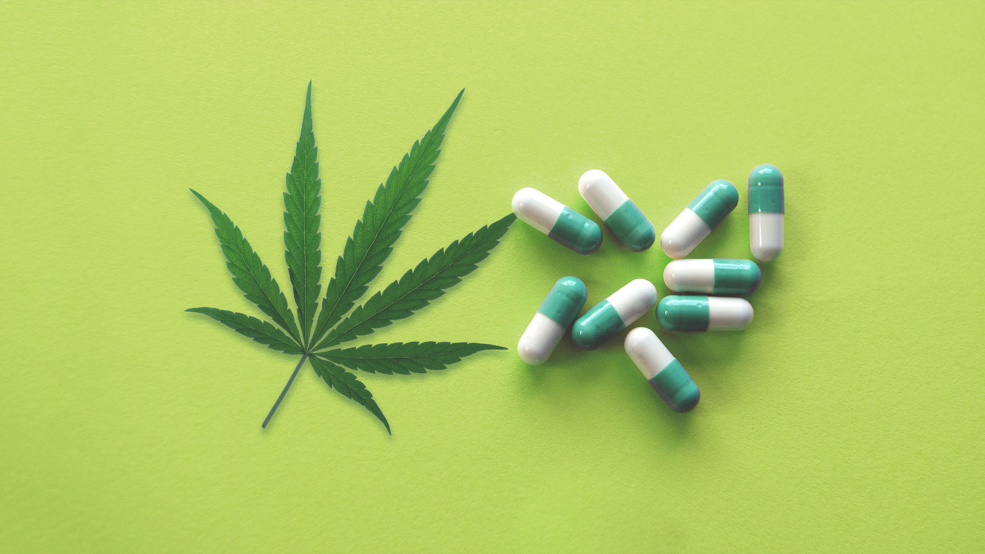 cannabis plant and pills