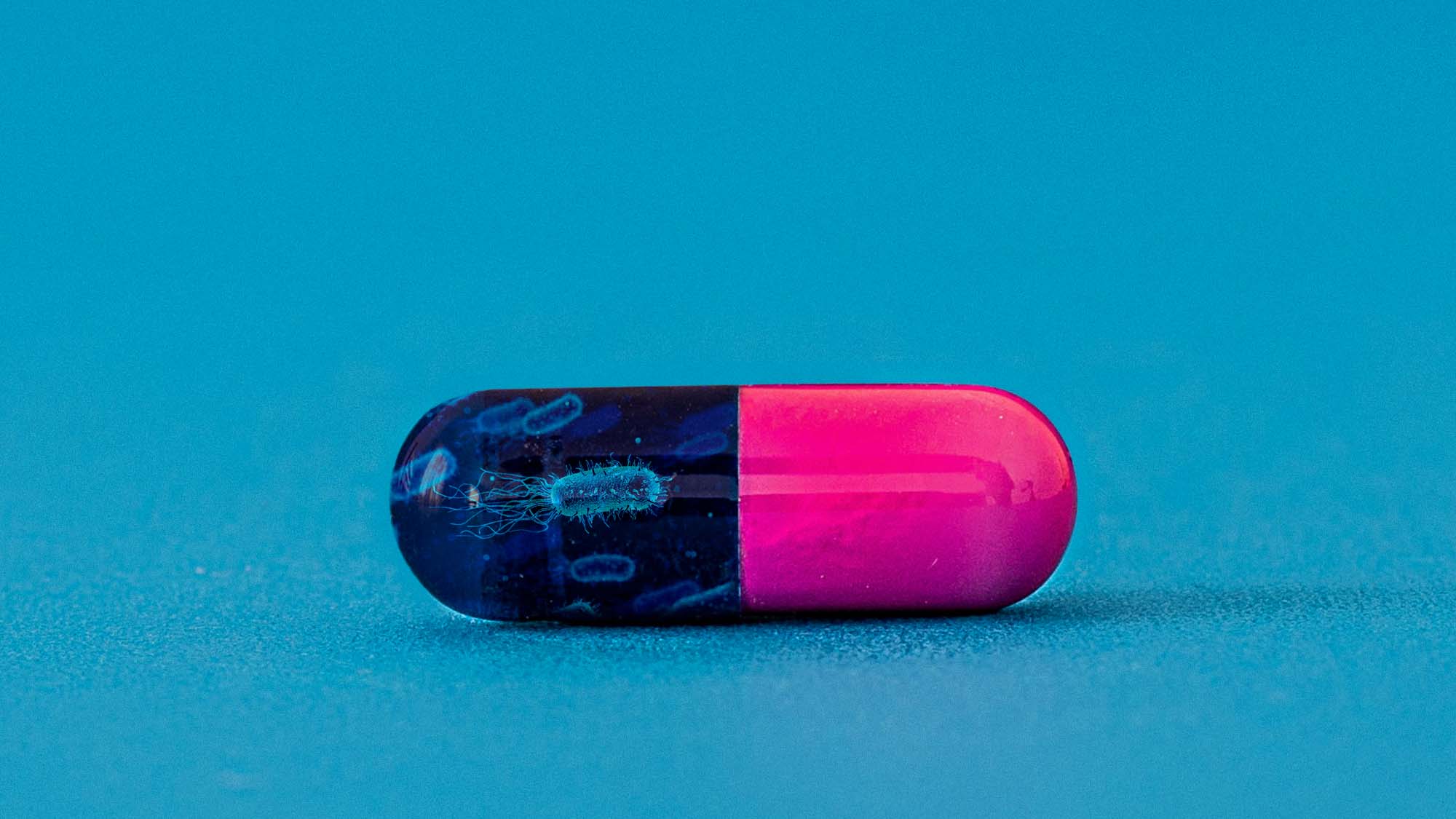 The first ‘living pill’ to treat antibiotic-resistant infections