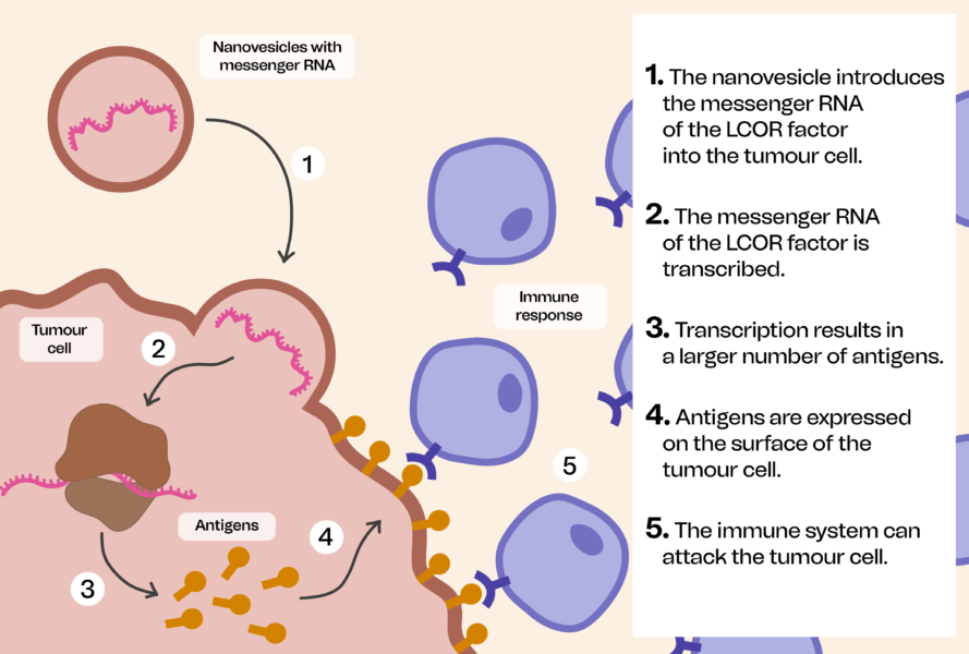 cancer treatment immunotherapy