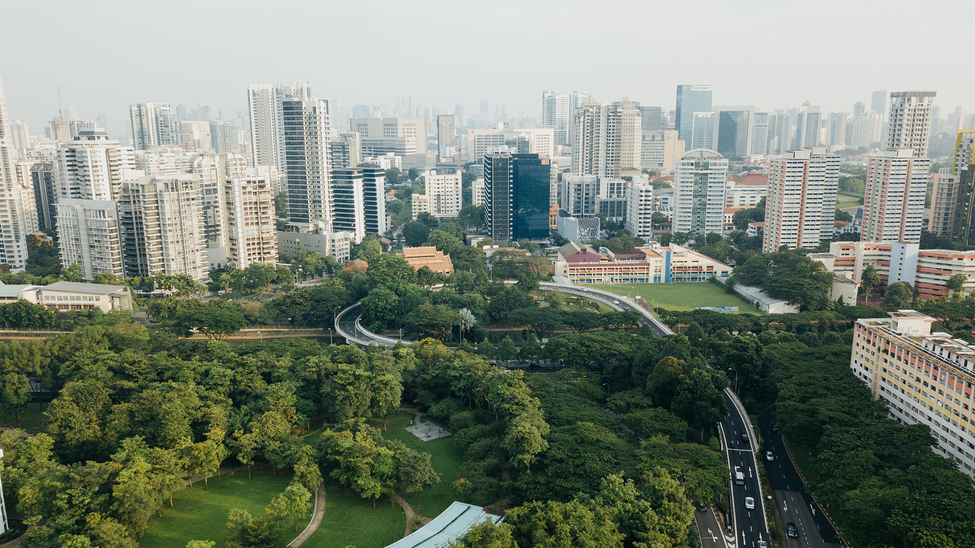 the-human-health-benefits-of-green-spaces-tim-davies-landscaping