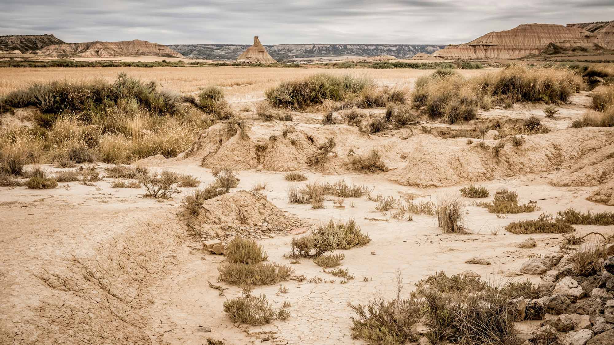 How ecosystems resist drought