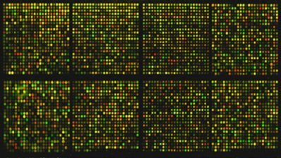 Microarrays