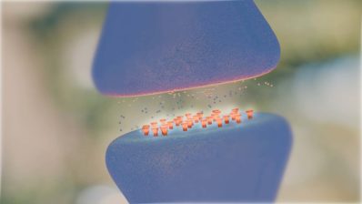 Sinapsis entre dos neuronas.