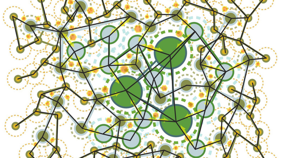 Image of system biology