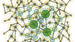 Image of system biology