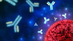 Representación de un virus rodeado de inmunoglobulina