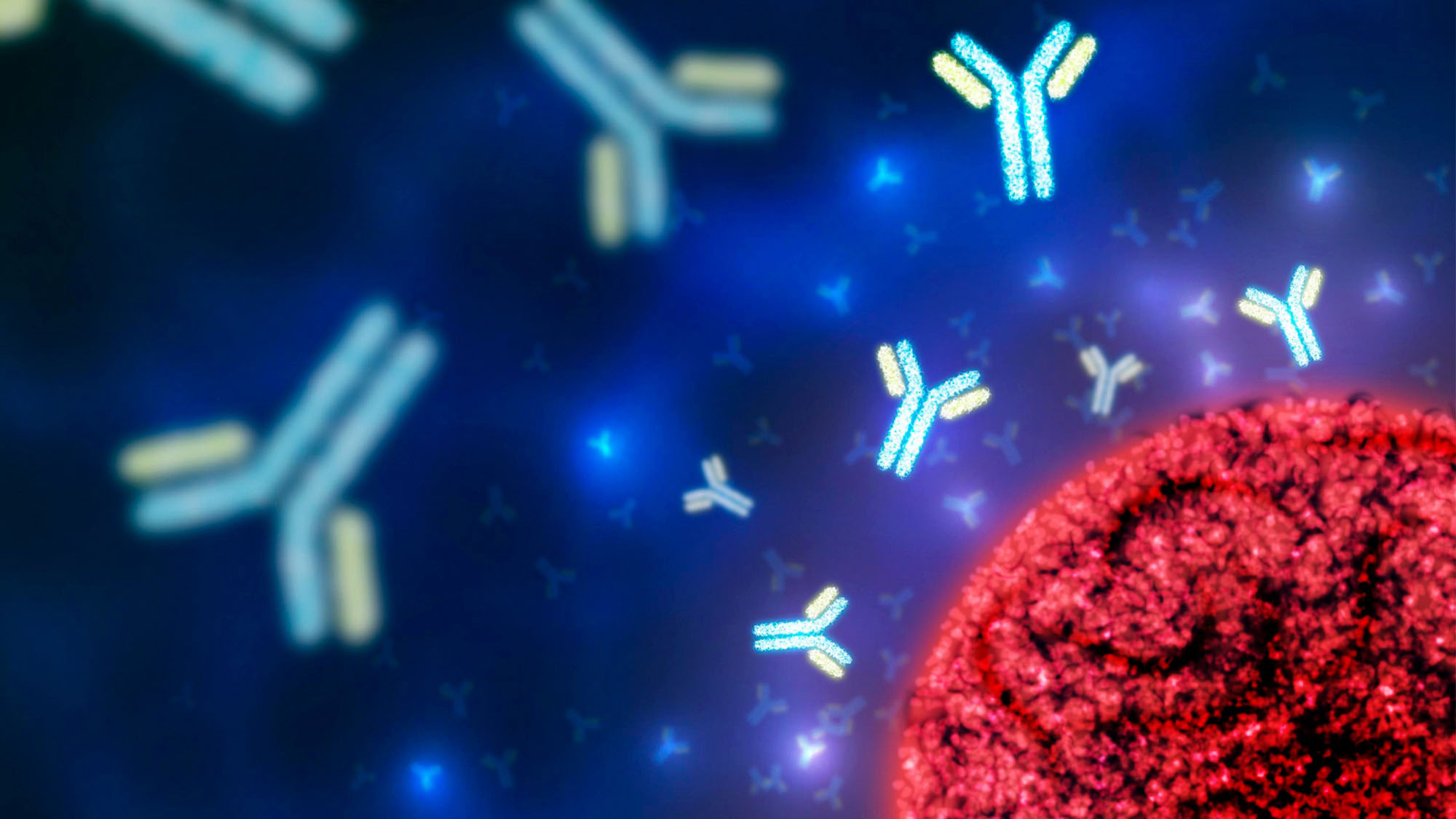 Representación de un virus rodeado de inmunoglobulina