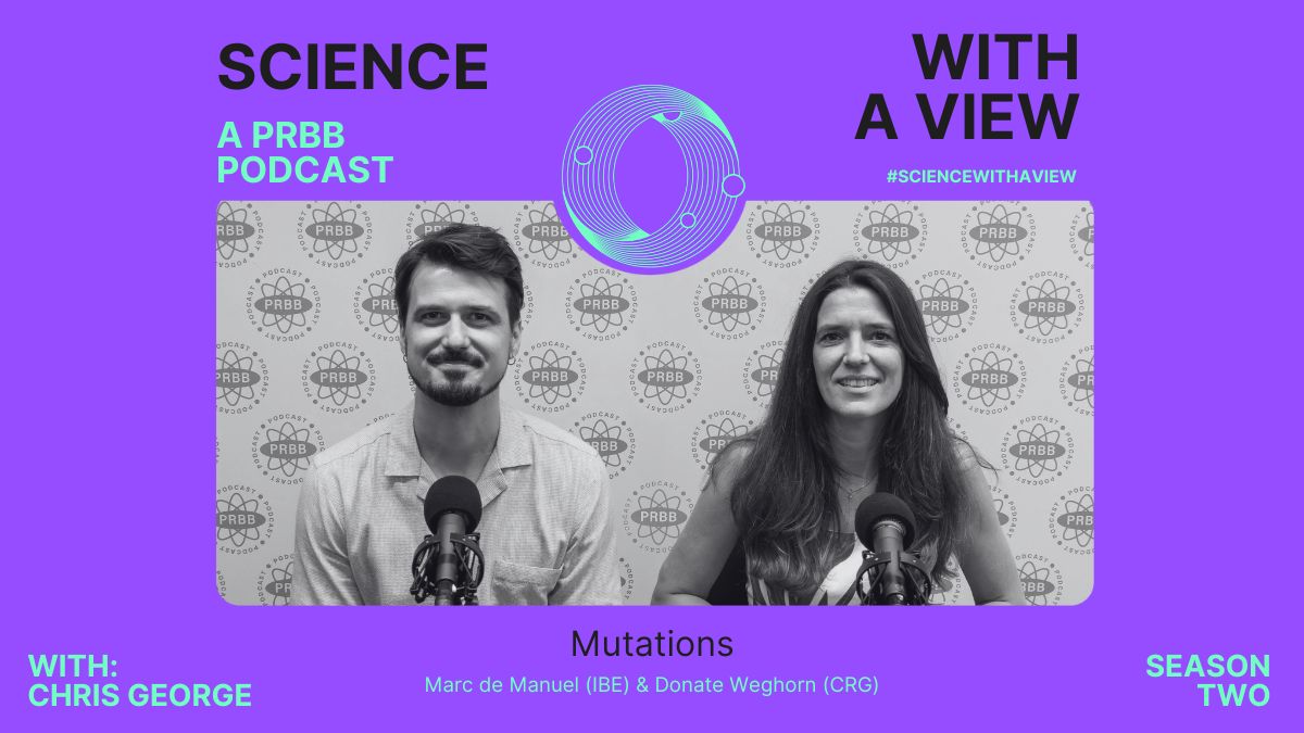 Diving into genetic mutations