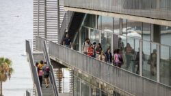 Group of OpenPRBB 2026 visitors walking along the exterior walkways and staircases of the PRBB building, with the sea in the background.